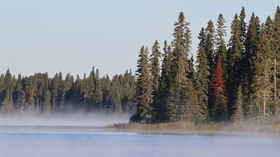 Fall Morning at Bladebone Lake
