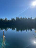 View of the pond.