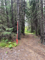 Paddle marking the access to the lake.