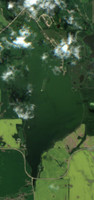 Shannon Lake - Jul 24, 2026