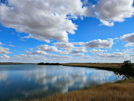 A great place for birdwatching!