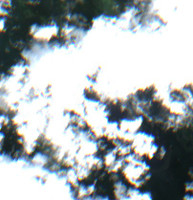 Mallard Lake - Jul 24, 2026