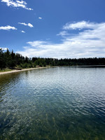 View of the shoreline from launch dock.