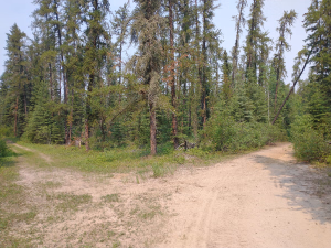 Intersection on the road out to Steepbank. The lake is down the left hand path. 