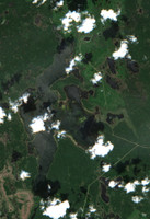 Bronson Lake - Jul 24, 2026