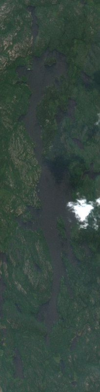 Harvey Lake - Jul 17 - Jul 24