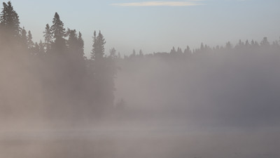Drinking coffee, thinking about walleye