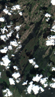 Triveet Lake - Jul 24, 2026