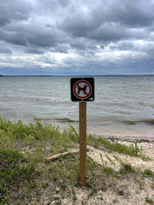 Sign indicating where dogs aren't allowed.