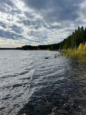 Lake shoreline.