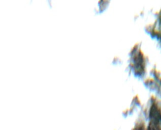 Dog Lake - Jun 02 - Jul 02