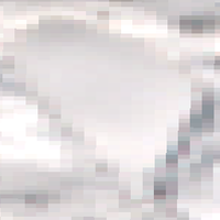 Pine Lake - Feb 12, 2026