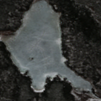 Bad Carrot Lake - May 06, 2026