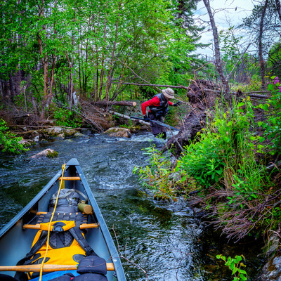 cutting our way into elephant lake