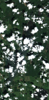 Turtle Lake - Jul 18, 2026
