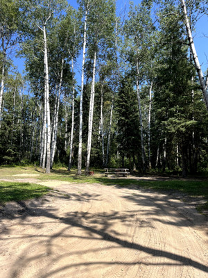 Picnic table and firepit at the campground.