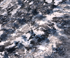 Trout Lake - Jan 26, 2026