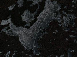 Beaverlodge Lake - May 20, 2026