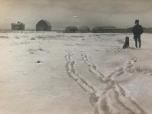 Snow