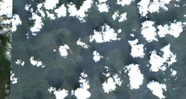 Lloyd Lake - Jul 24, 2026