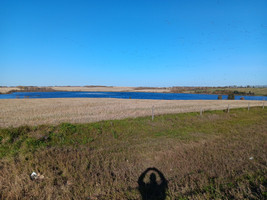 View of the lake from the road