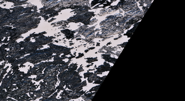 Otter Lake - Jan 24, 2026
