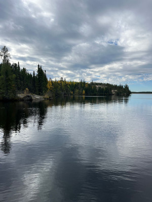 Lake shoreline.