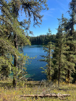 View of the lake from the hiking trail.