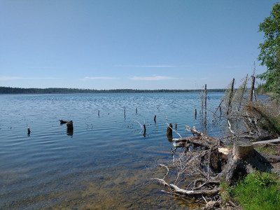 Lake shoreline.