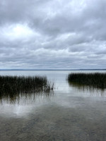 Shoreline at campground.