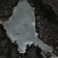 Bad Carrot Lake - May 06, 2026