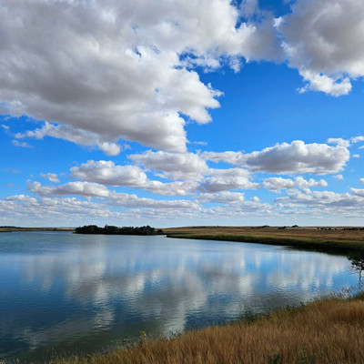 A great place for birdwatching!