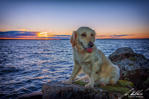 enjoying a sunset from one of the campsites on the lake