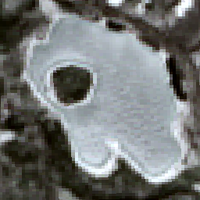 Dog Lake - May 01, 2026
