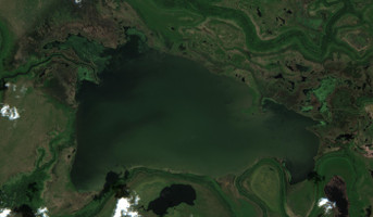 Cut Beaver Lake - Jul 24, 2026