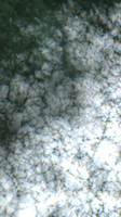 Flotten Lake - Jul 24, 2026