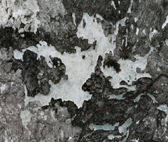 MacKay Lake - Apr 21, 2026