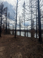 Shannon Lake