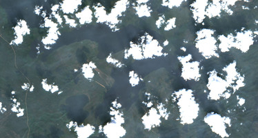 Lloyd Lake - Jul 24, 2026