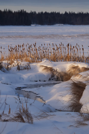 Winter textures at Amisk.
@kateluff