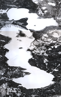 Whiteswan Lakes - Feb 20, 2026