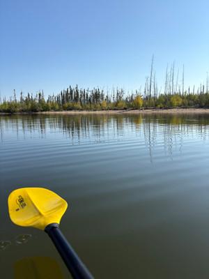 There are small beaches around the lake.  Especially this year because water was low. Campground has a very nice one that is bigger 