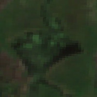Loon Lake - Jul 24, 2026