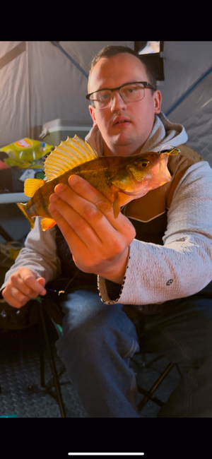 A fun perch to start the evening