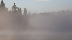 Drinking coffee, thinking about walleye