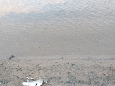 Sandy beach!