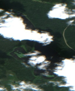 Shady Lake - Jul 17 - Jul 24