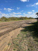 Road near launch and picnic area.