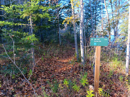 Trail sign