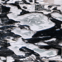 Fur Lakes - Jan 26, 2026